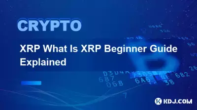 XRP 什麼是 XRP 入門指南解釋 XRP 什麼是 XRP 入門指南解釋