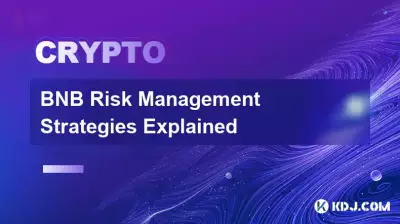 BNB Risk Management Strategies Explained BNB Risk Management Strategies Explained