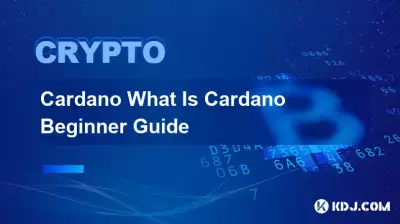 Cardano Cardano とは 初心者ガイド Cardano Cardano とは 初心者ガイド