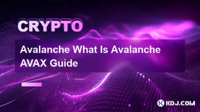 Avalanche Was ist Avalanche AVAX Guide? Avalanche Was ist Avalanche AVAX Guide?