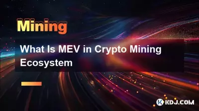 加密挖礦生態系中的MEV是什麼 加密挖礦生態系中的MEV是什麼