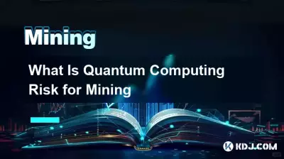 Was ist das Quantencomputing-Risiko für den Bergbau? Was ist das Quantencomputing-Risiko für den Bergbau?
