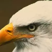 👀