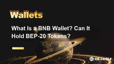 什麼是 BNB 錢包?它可以持有 BEP-20 代幣嗎? 什麼是 BNB 錢包?它可以持有 BEP-20 代幣嗎?