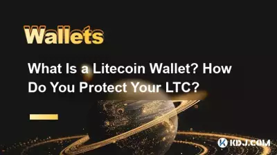 What Is a Litecoin Wallet? How Do You Protect Your LTC? What Is a Litecoin Wallet? How Do You Protect Your LTC?
