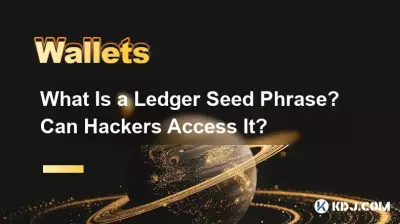 什么是 Ledger 种子短语？黑客可以访问它吗？