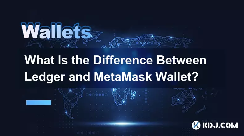 Ledger와 MetaMask 지갑의 차이점은 무엇입니까?
