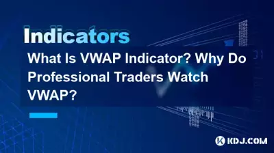 什麼是VWAP指標?為什麼專業交易者關注 VWAP? 什麼是VWAP指標?為什麼專業交易者關注 VWAP?