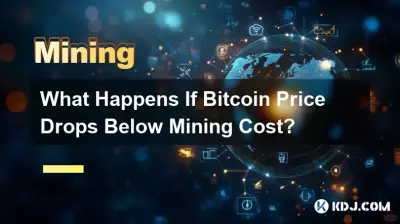 如果 Bitcoin 价格跌至挖矿成本以下会发生什么？