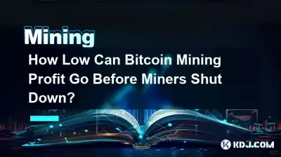 Wie niedrig kann der Mining-Gewinn von Bitcoin sein, bevor die Miner schließen?