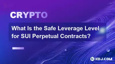 SUI永續合約的安全槓桿等級是多少? SUI永續合約的安全槓桿等級是多少?