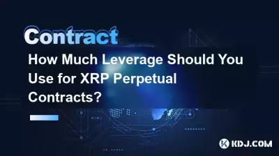 XRP 무기한 계약에 얼마나 많은 레버리지를 사용해야 합니까? XRP 무기한 계약에 얼마나 많은 레버리지를 사용해야 합니까?