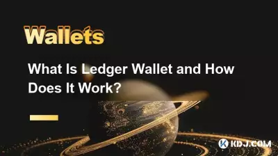 What Is Ledger Wallet and How Does It Work? What Is Ledger Wallet and How Does It Work?