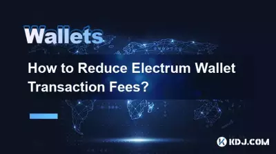 How to Reduce Electrum Wallet Transaction Fees? How to Reduce Electrum Wallet Transaction Fees?