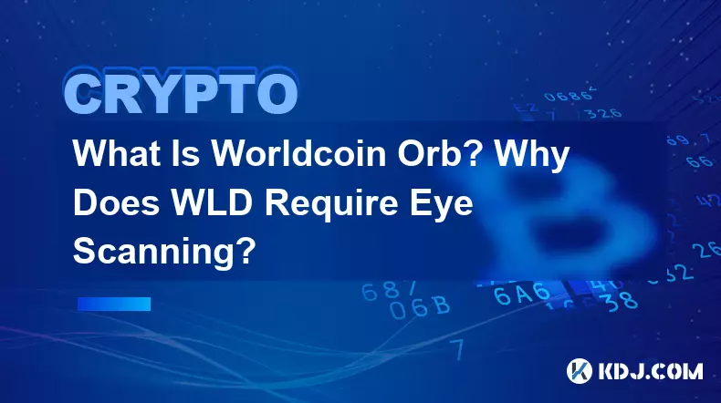 What Is Worldcoin Orb? Why Does WLD Require Eye Scanning?