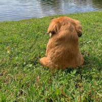 Tilly