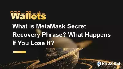 什麼是 MetaMask 秘密恢復短語?如果你失去了它會發生什麼事? 什麼是 MetaMask 秘密恢復短語?如果你失去了它會發生什麼事?
