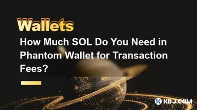 De combien de SOL avez-vous besoin dans Phantom Wallet pour les frais de transaction ? De combien de SOL avez-vous besoin dans Phantom Wallet pour les frais de transaction ?