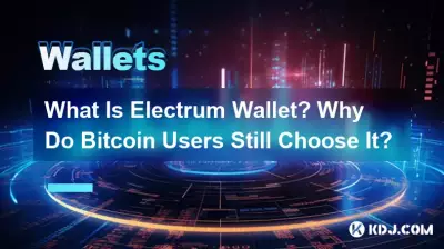 Was ist eine Electrum-Wallet? Warum entscheiden sich Bitcoin-Benutzer immer noch dafür? Was ist eine Electrum-Wallet? Warum entscheiden sich Bitcoin-Benutzer immer noch dafür?