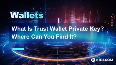 什麼是Trust錢包私鑰?在哪裡可以找到它? 什麼是Trust錢包私鑰?在哪裡可以找到它?