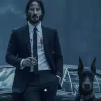 Wick