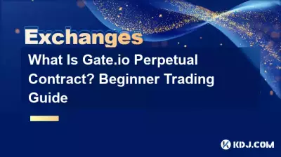 什么是Gate.io永续合约?新手交易指南 什么是Gate.io永续合约?新手交易指南