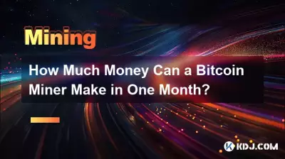 Wie viel Geld kann ein Bitcoin Miner in einem Monat verdienen?