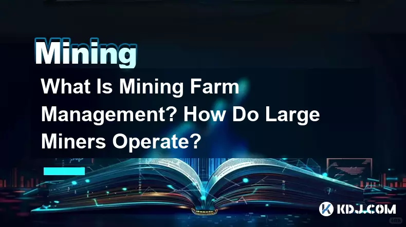 What Is Mining Farm Management? How Do Large Miners Operate?