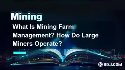 What Is Mining Farm Management? How Do Large Miners Operate?