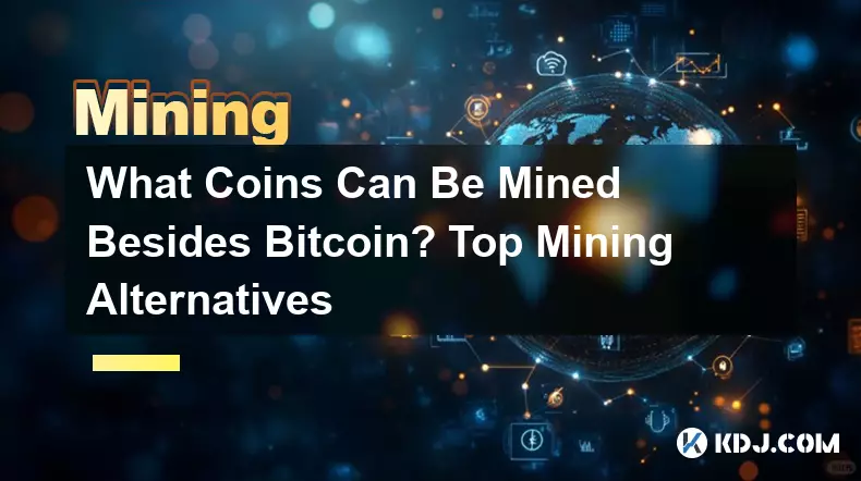 除了Bitcoin之外还可以开采哪些币？顶级采矿替代方案