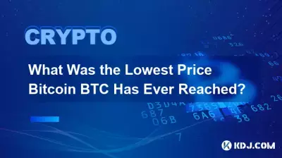 Was war der niedrigste Preis Bitcoin, den BTC jemals erreicht hat?