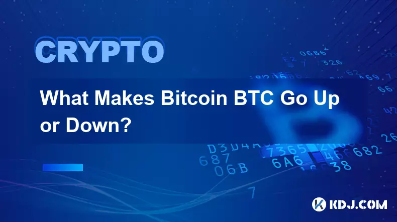 是什么让 Bitcoin BTC 上涨或下跌？