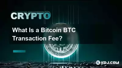 什麼是 Bitcoin BTC 交易費? 什麼是 Bitcoin BTC 交易費?