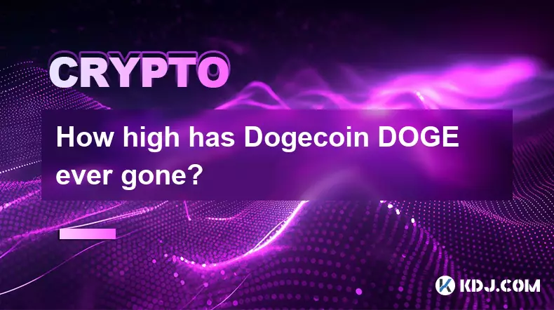 BitcoinコインDogeは今までどれくらいの高さになりましたか?