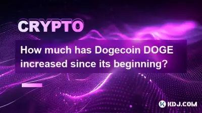 How much has Bitcoincoin Doge increased since its beginning? How much has Bitcoincoin Doge increased since its beginning?