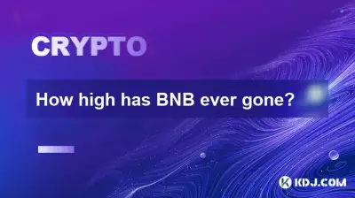 BNB 曾經漲到多高? BNB 曾經漲到多高?