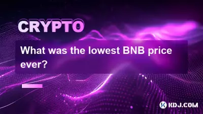 Was war der niedrigste BNB-Preis aller Zeiten? Was war der niedrigste BNB-Preis aller Zeiten?