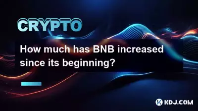 How much has BNB increased since its beginning? How much has BNB increased since its beginning?