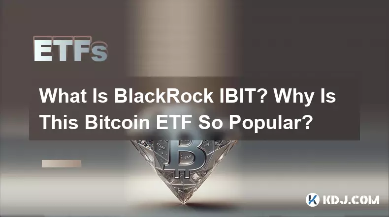 ブラックロック IBIT とは何ですか?この Bitcoin ETF がなぜこれほど人気が​​あるのでしょうか?