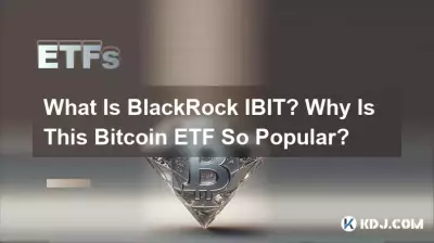 BlackRock IBIT란 무엇입니까? 이 Bitcoin ETF가 왜 그렇게 인기가 있나요? BlackRock IBIT란 무엇입니까? 이 Bitcoin ETF가 왜 그렇게 인기가 있나요?
