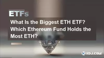 最大的 ETH ETF 是什么?哪个以太坊基金持有最多 ETH? 最大的 ETH ETF 是什么?哪个以太坊基金持有最多 ETH?