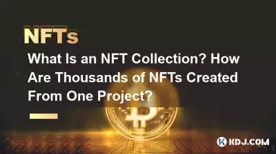 What Is an NFT Collection? How Are Thousands of NFTs Created From One Project? What Is an NFT Collection? How Are Thousands of NFTs Created From One Project?