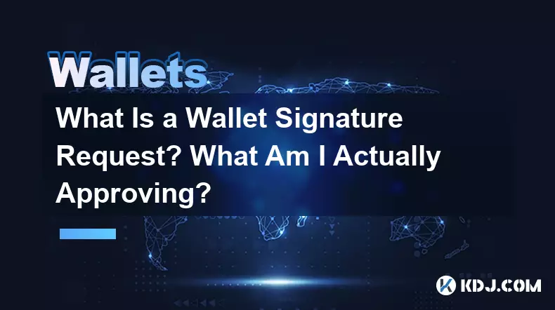 什么是钱包签名请求？我实际上批​​准了什么？