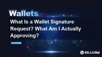 什麼是錢包簽名請求?我實際上批准了什麼? 什麼是錢包簽名請求?我實際上批准了什麼?