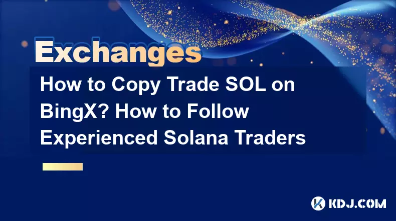 BingX에서 Trade SOL을 복사하는 방법은 무엇입니까? 숙련된 솔라나 트레이더를 팔로우하는 방법