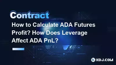 ADA期货利润如何计算?杠杆如何影响 ADA PnL? ADA期货利润如何计算?杠杆如何影响 ADA PnL?
