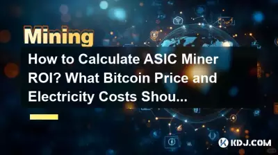 ASIC 채굴기 ROI를 계산하는 방법은 무엇입니까? Bitcoin 가격과 전기요금은 얼마를 사용해야 할까요? ASIC 채굴기 ROI를 계산하는 방법은 무엇입니까? Bitcoin 가격과 전기요금은 얼마를 사용해야 할까요?