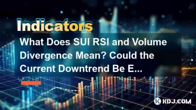 What Does SUI RSI and Volume Divergence Mean? Could the Current Downtrend Be Ending? What Does SUI RSI and Volume Divergence Mean? Could the Current Downtrend Be Ending?