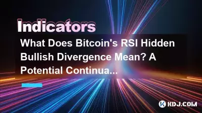 Bitcoin의 RSI 숨겨진 강세 다이버전스는 무엇을 의미합니까? 잠재적인 지속 신호 Bitcoin의 RSI 숨겨진 강세 다이버전스는 무엇을 의미합니까? 잠재적인 지속 신호