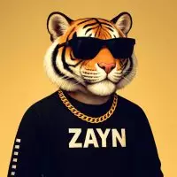 zayn